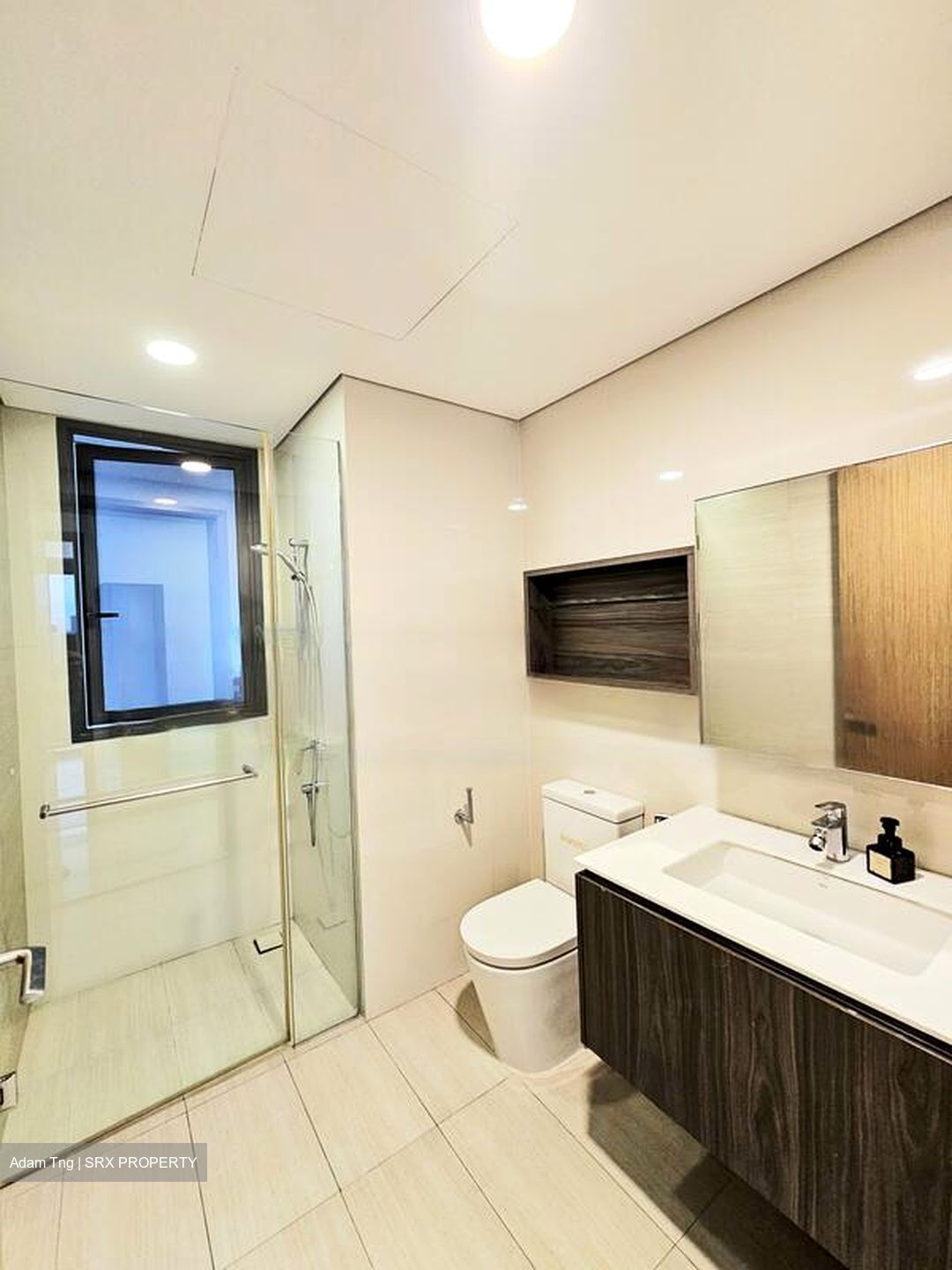 Lakeville (D22), Condominium #453406941